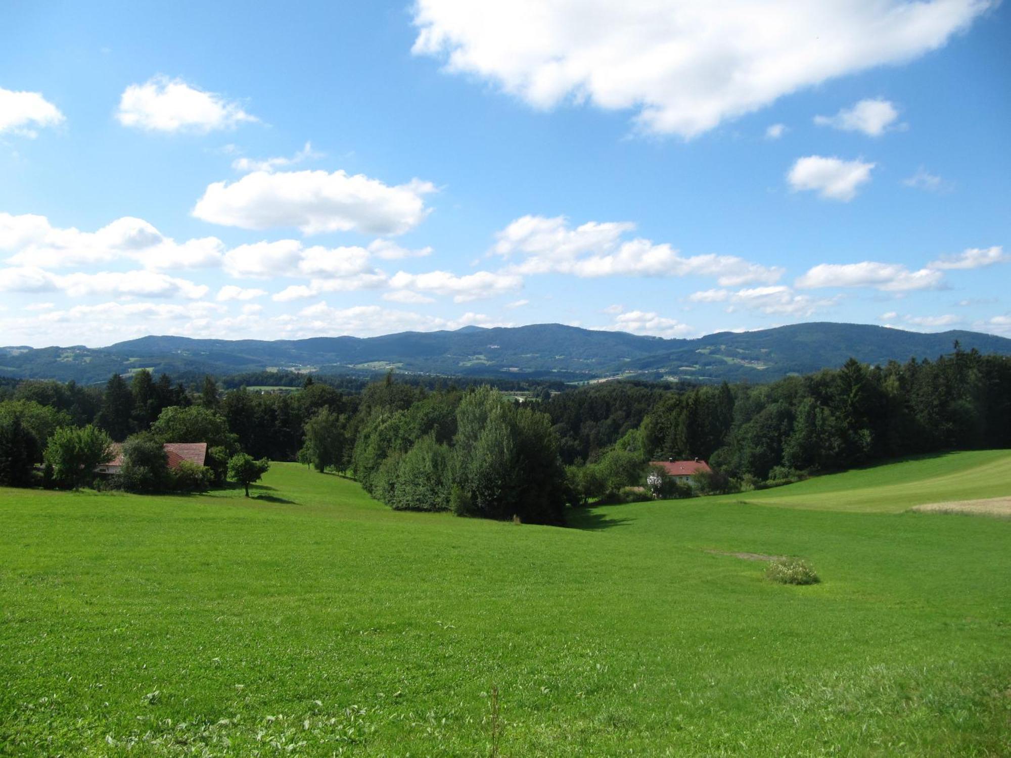 Buechelsteiner Hof Hotel Grattersdorf Buitenkant foto
